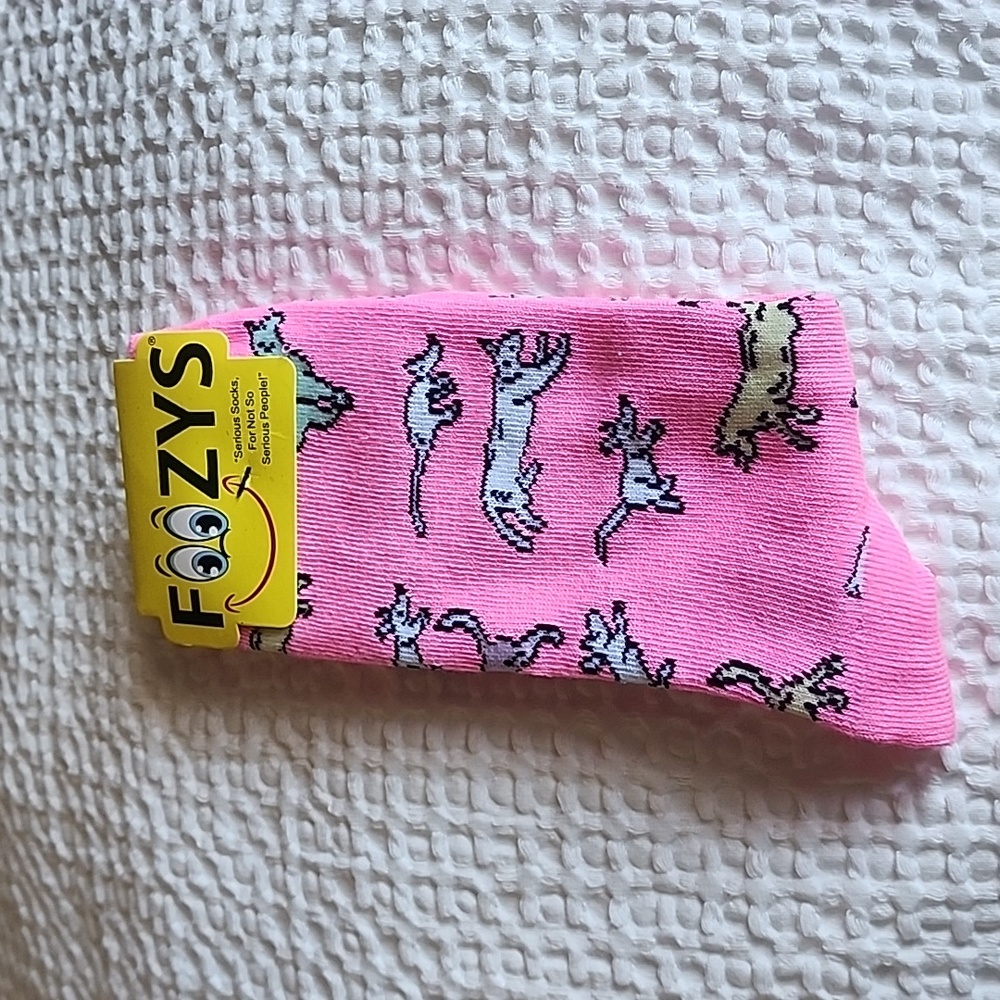 3/$20 Deal Foozy Funny Cat Socks!